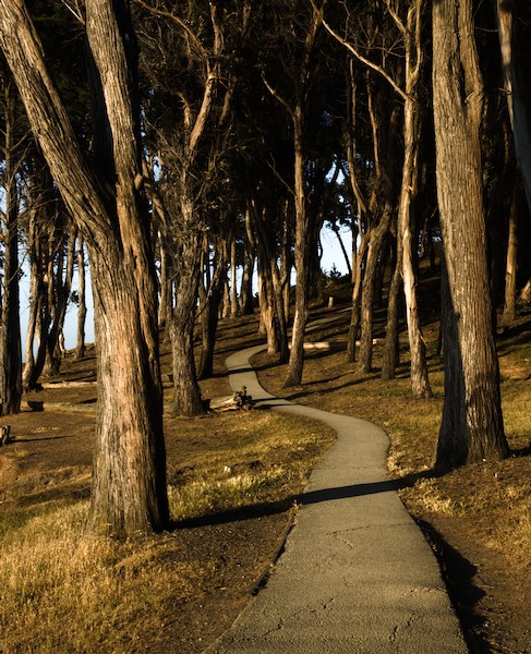 path at coyote point