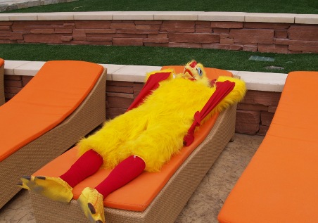 hot chicken relaxing